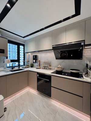 Cost-Effective Resistant Cupboard Kitchen Custom Cabinet Furniture For House