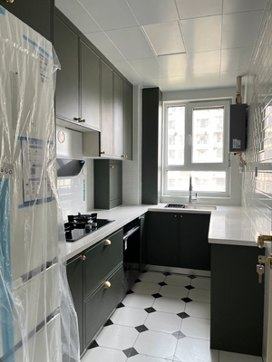 Modern Kitchen Cabinets with MDF Plywood Doors for Residence Hotel