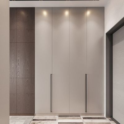 Modular Wooden Internal Storage Wardrobe Already Assembled Plywood