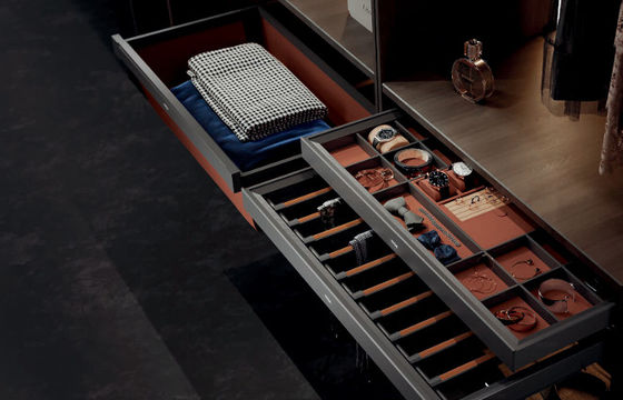 Modern Clothes Cupboard Organizers Closet Jewelry Drawers Organization