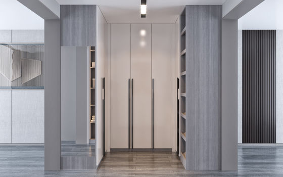 Living Room Walk In Closet Made Of Particle Board Carcass And Hettich Hardware