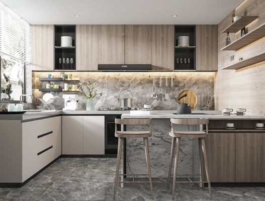 Residence Contemporary Kitchen Cabinet with Glossy Surface Lacquer Door Panel