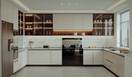 Contemporary Architectural Hotel Interior And Exterior Design Luxury Villa Kitchen