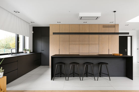 Customized Design Modern Luxury Style Small Villa Modular Kitchen Cabinet