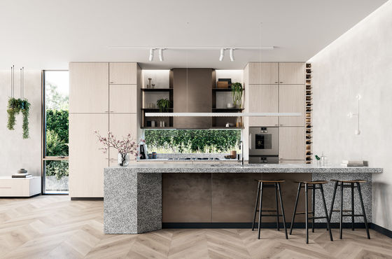 Customized Design Modern Luxury Style Small Villa Modular Kitchen Cabinet