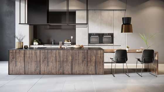 Customized Design Modern Luxury Style Small Villa Modular Kitchen Cabinet