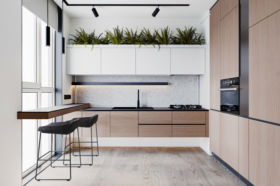Hotel Modern Kitchen Cabinet With Laminate Door Finish And Particle Board Carcass