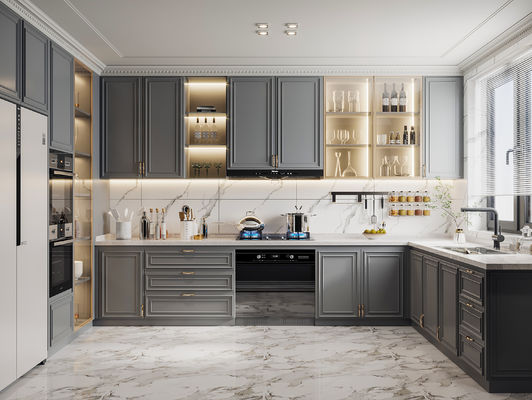 Hotel Modern Kitchen Cabinet with Stainless Steel Door Material and Lacquer Finish