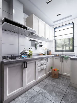 Hotel Modern Kitchen Cabinet with Stainless Steel Door Material and Lacquer Finish