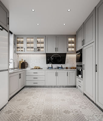 Hotel Modern Kitchen Cabinet with Stainless Steel Door Material and Lacquer Finish