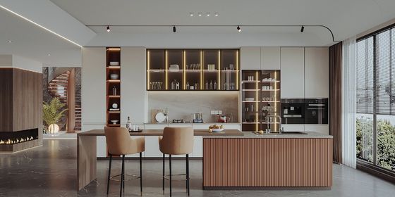 Modern Cupboards For Kitchen Furniture Kitchen Cabinet For Townhouse Hotel