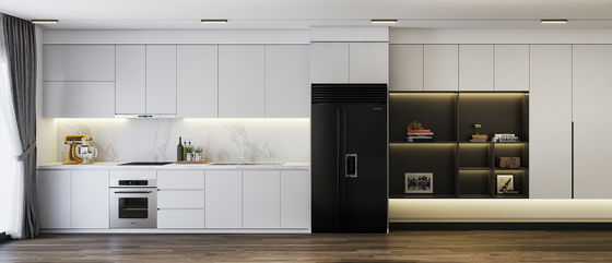 Modern Kitchen Cabinet With Blum / Hettich / DTC Hardware Parts