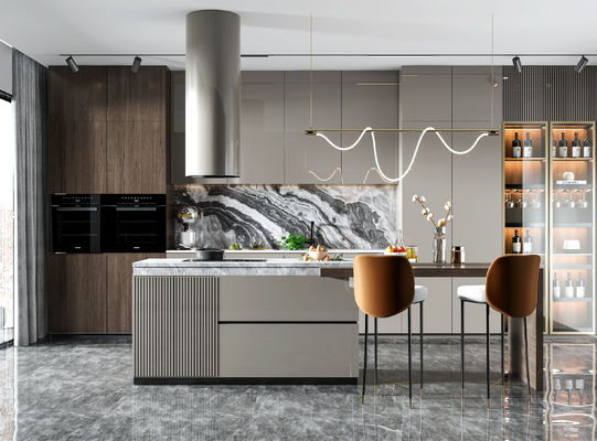 Modern Kitchen Cabinet With Blum / Hettich / DTC Hardware Parts