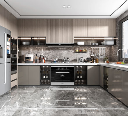 Modern Kitchen Cabinet With Blum / Hettich / DTC Hardware Parts