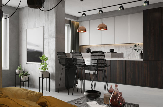 Kitchen Furniture Modular Kitchen Cabinets Villa Luxury Kitchen Cabinets