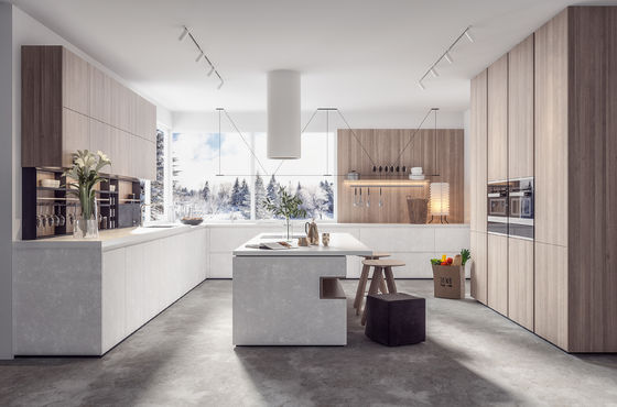 Modern Luxury Kitchen Cabinets Custom 3D Design Factory Manufactured One-Stop