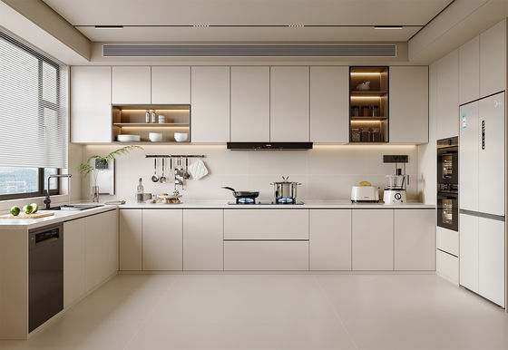 Modern Designs Cabinet Door Customized Style Modular Kitchen Cabinet