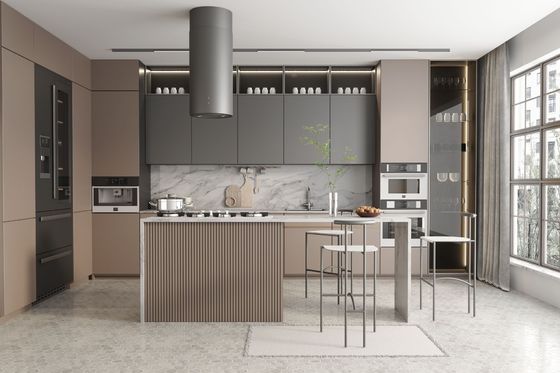 Hotel Modern Kitchen Cabinet With DTC Hardware And Particle Board Carcass