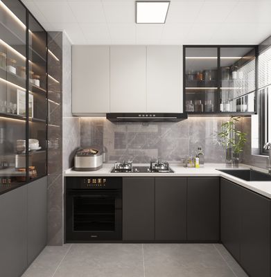 Modern Minimalist Small Design Integral Kitchen Pantry For Bathroom Kitchen