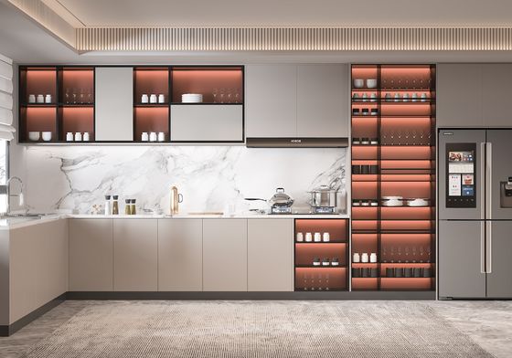 Factory Europe Shaker Modern Kitchen Cabinet With Wood For Apartment