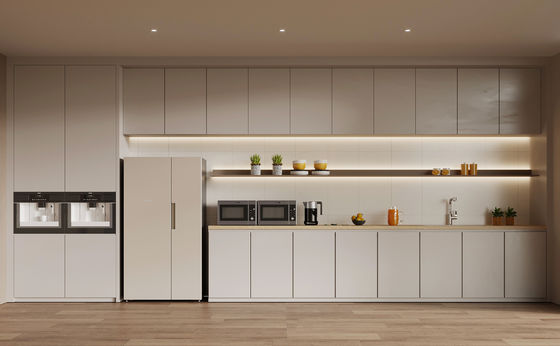 Modern Luxury Kitchen Cabinet for Stylish and Space-Saving Solutions