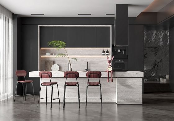 Faceframe Design Shaker Door Cabinet Modern Kitchen with Door For Home