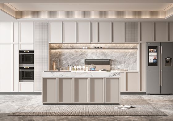 Faceframe Design Shaker Door Cabinet Modern Kitchen with Door For Home