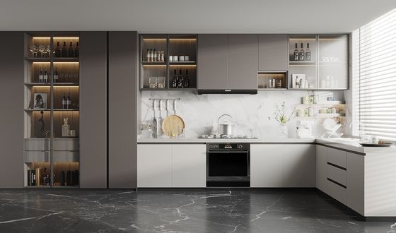 Faceframe Design Shaker Door Cabinet Modern Kitchen with Door For Home