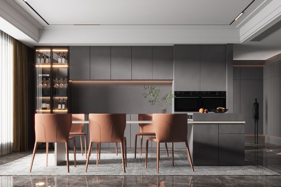 Faceframe Design Shaker Door Cabinet Modern Kitchen with Door For Home