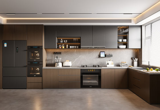 Faceframe Design Shaker Door Cabinet Modern Kitchen with Door For Home