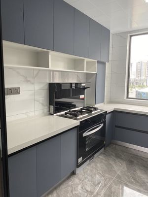Modern Furniture Mixed  Cabinet Door Cabinet Body For Kitchen Hotel