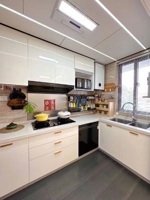 Modern Furniture Mixed  Cabinet Door Cabinet Body For Kitchen Hotel