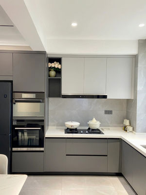 Customized Kitchen Furniture Cabinets Body Wood Cabinet Door For Storage