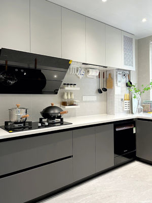 Multifaceted Furniture Corrosion Resistant Kitchen Cabinet
