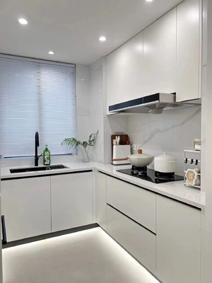 Environmental Ood Kitchen Furniture Cabinets With Good Insulation Performance
