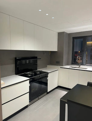 Customization Kitchen Cabinets Modern Cupboard with Quartz Stone Counters