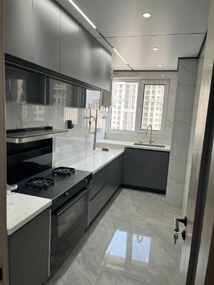 Manufacturer Custom Design Modular Cupboard Collection Minimalist Kitchen Cabinet