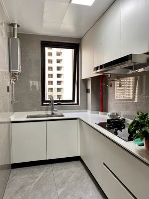 European Grain Complete Sets Modern Designs Kitchen Cabinet For Apartment