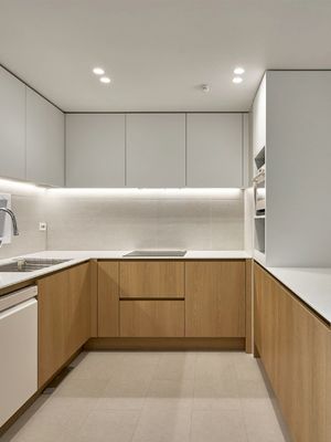 Factory Direct Custom Design Furniture European Kitchen Cabinet Set