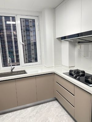 Factory Direct Custom Design Furniture European Kitchen Cabinet Set