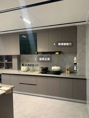 Apartment  Melamine Elegant European Kitchen Cabinet With Quartz Countertop