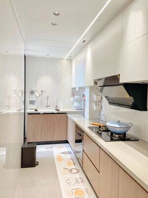 Apartment  Melamine Elegant European Kitchen Cabinet With Quartz Countertop