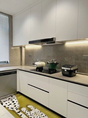 Apartment  Melamine Elegant European Kitchen Cabinet With Quartz Countertop