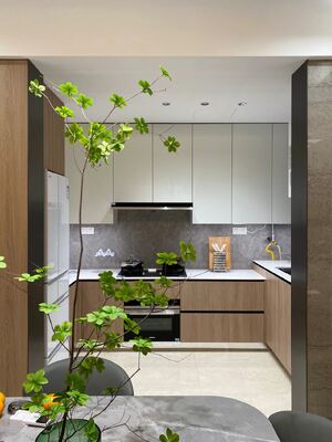 Apartment  Melamine Elegant European Kitchen Cabinet With Quartz Countertop