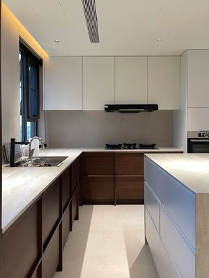 Kitchen Cabinet With 304 Ss Metal Countertops And Double Sinks For Hotel