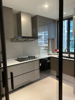 Customized MDF Laminate Wholesale Grey Lacquer Storage Pantry Kitchen Cabinets