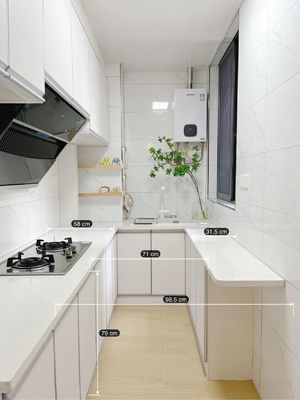 Full Design Customized Shaker Kitchen Cabinet With Big Storage Cardboard