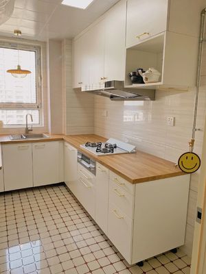 Full Design Customized Shaker Kitchen Cabinet With Big Storage Cardboard