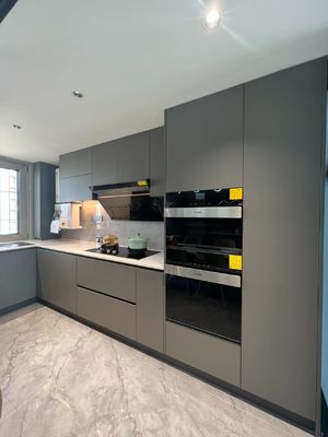 Free CAD Design Shaker Lacquer Window Wall Cabinet Modern Kitchen Cabinet