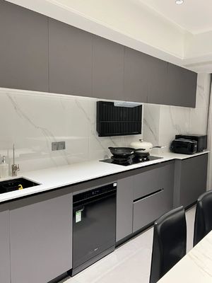 Custom Panel Lacquer High Gloss Pet Design Modern Kitchen Cabinet